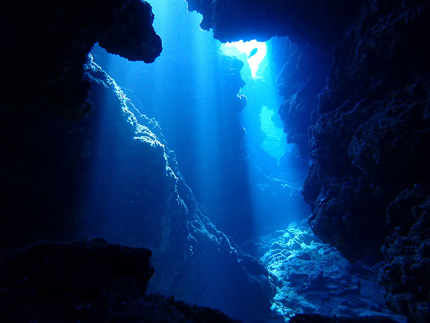 ケーブダイビング